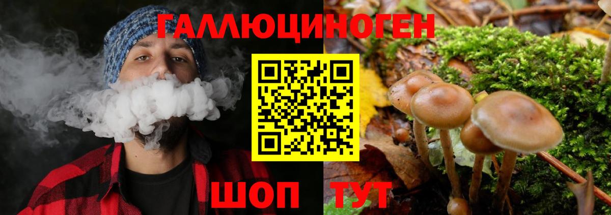 Ставрополь  где купить наркоту  Вход с VPN  Псилоцибиновые грибы Psilocybe 